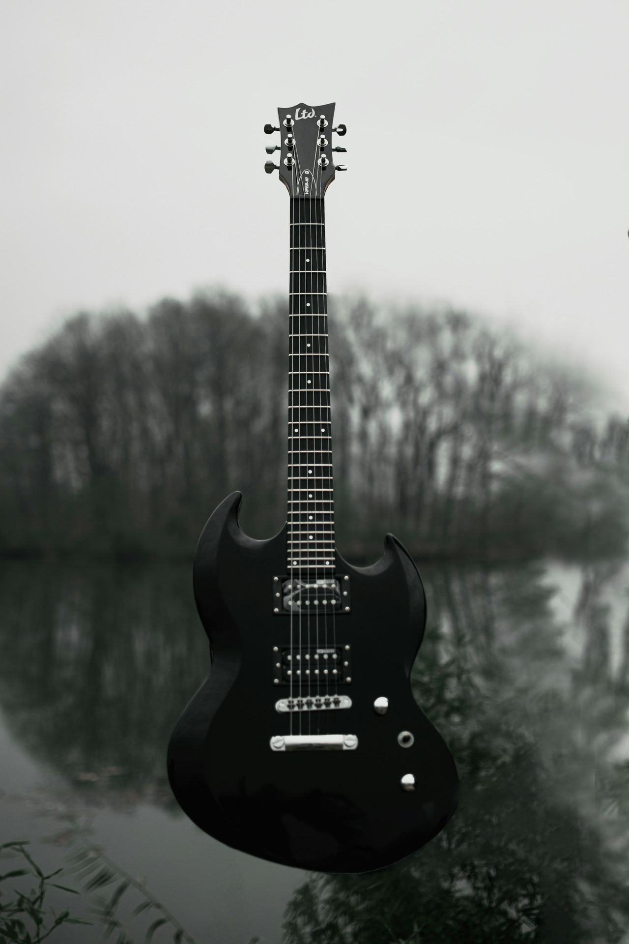 a black guitar hanging from the side of a body of water